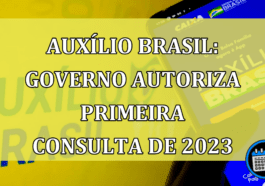 Governo libera primeira consulta Auxílio Brasil 2023