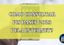 Como Consultar o PIS/PASEP 2023 Pela Internet?